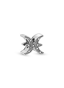 PANDORA Moments Charm / 798426C01