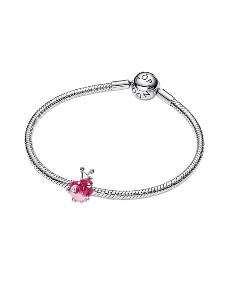 Pandora Moments Charm / 794553C01