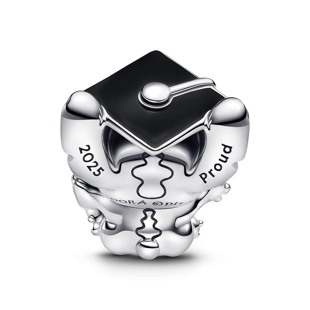 Pandora Disney Charm / 793789C01