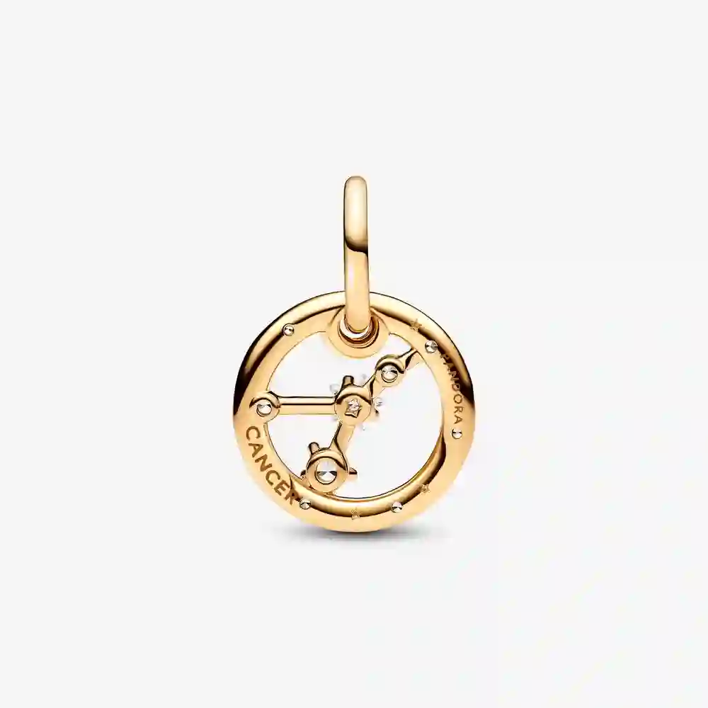 PANDORA Charm/762708C01