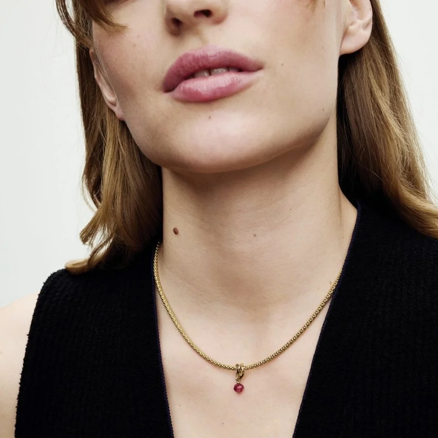 PANDORA Moments ჩარმი / 763462C07