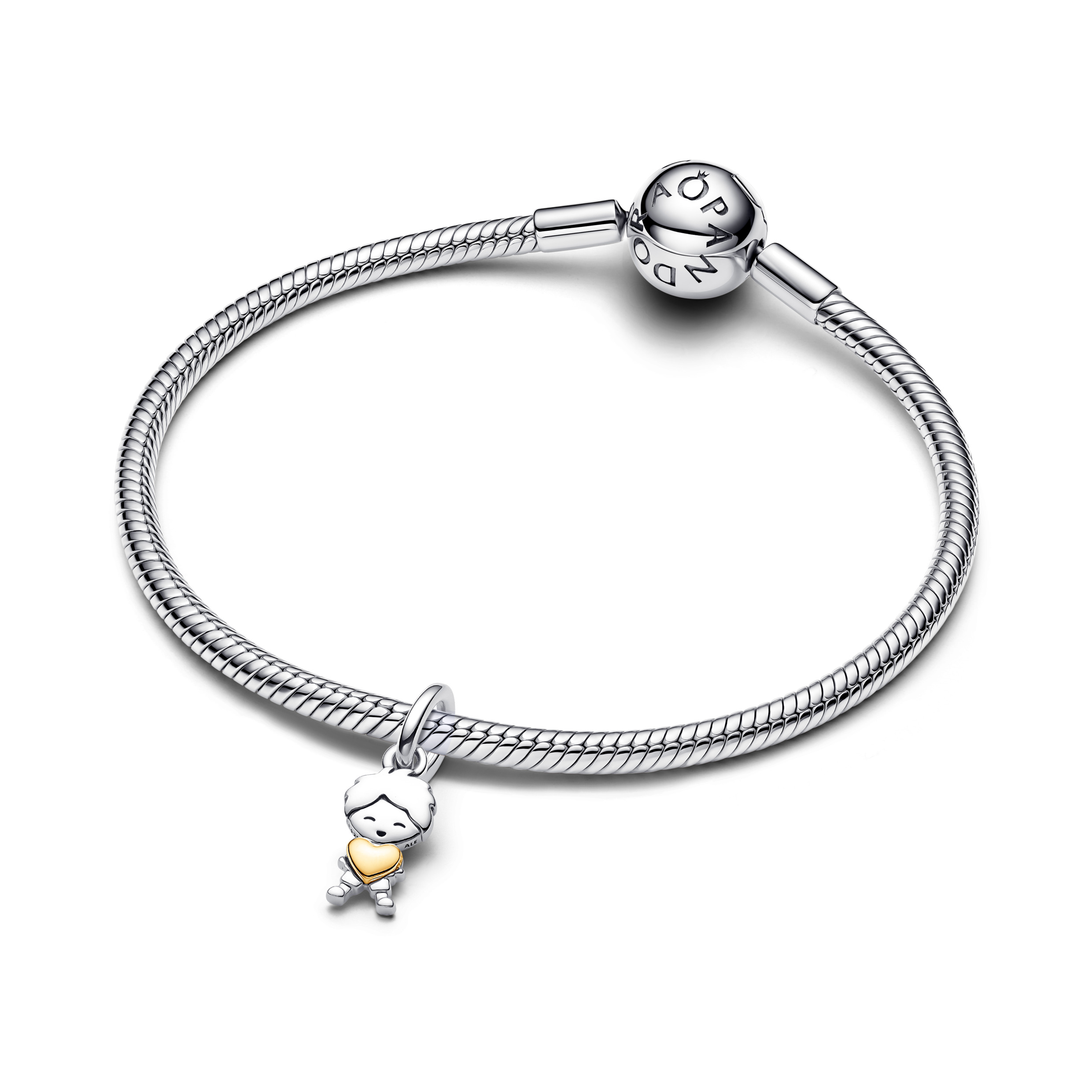 Pandora Moments Charm / 763602C00