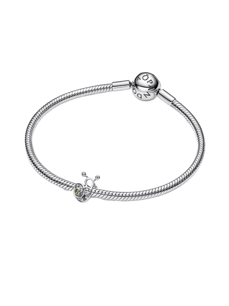 Pandora Moments Charm / 794557C01