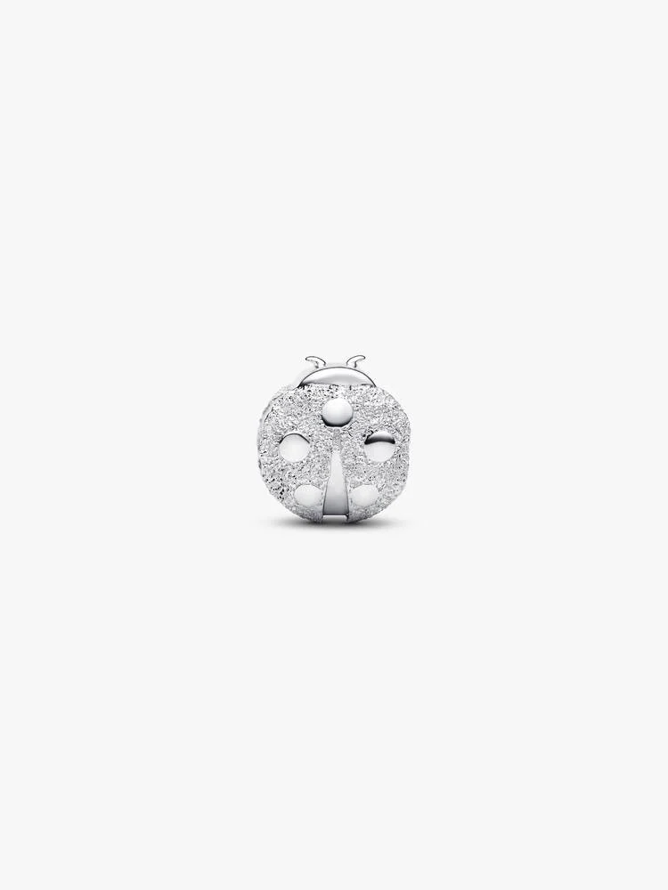 Pandora Moments Charm / 794527C00