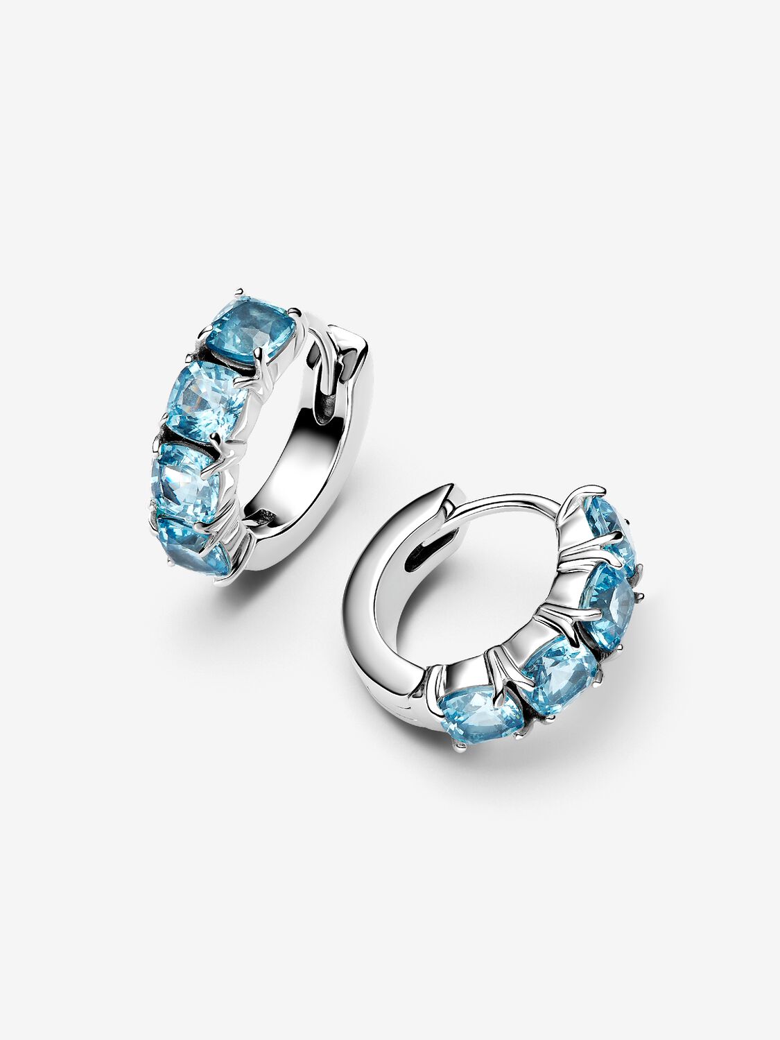 Pandora Timeless Earring / 293851C01