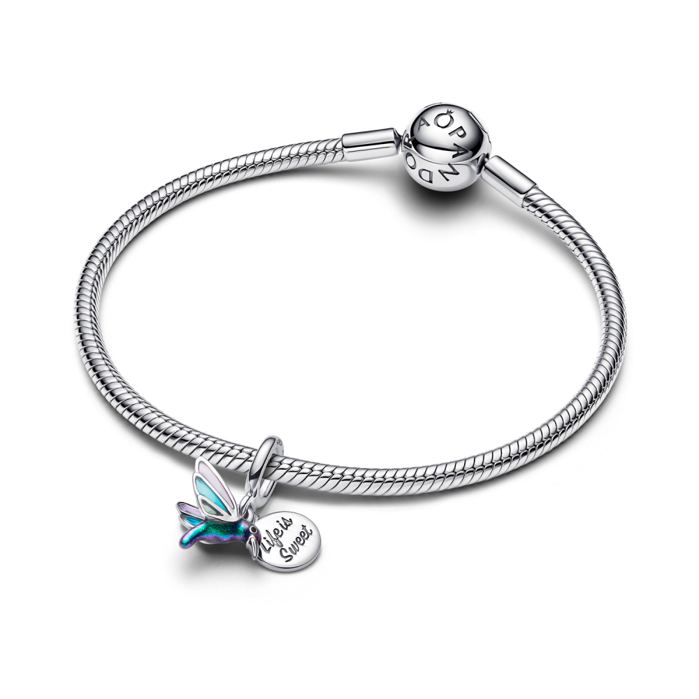 Pandora Moments Charm / 793747C01