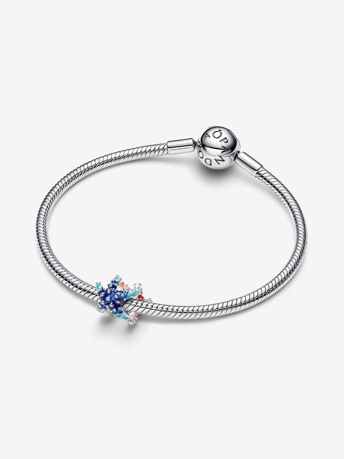 Pandora Moments Charm / 793817C01