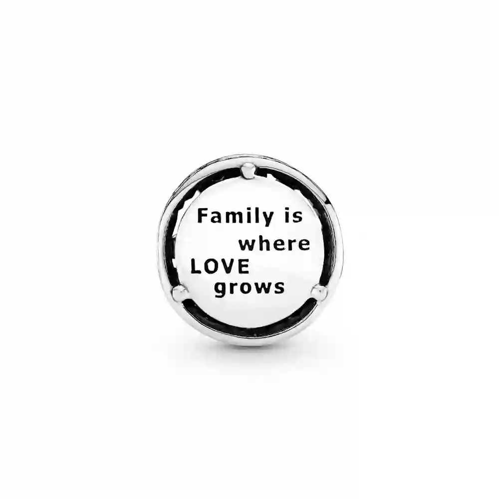 PANDORA Moments Charm / 797590