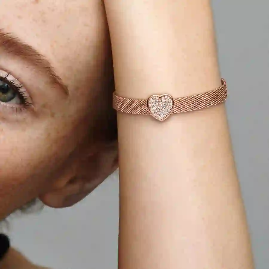 PANDORA Moments Charm / 788684C01