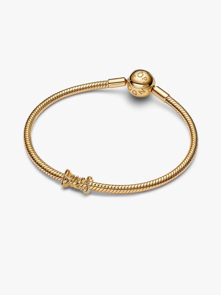 Pandora Moments Charm / 764422C00