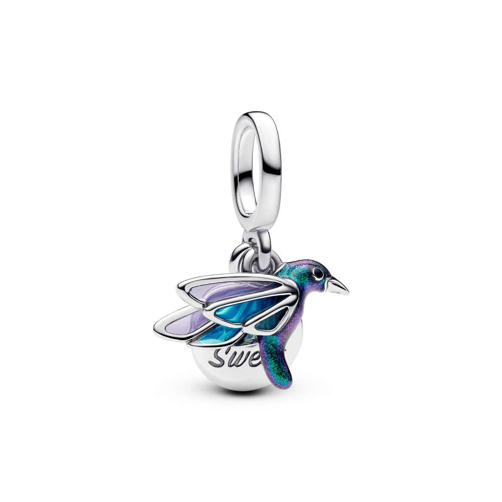 Pandora Moments Charm / 793747C01