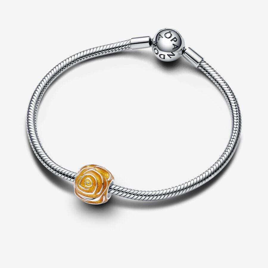 PANDORA Sterling Silver Charm/793212C02