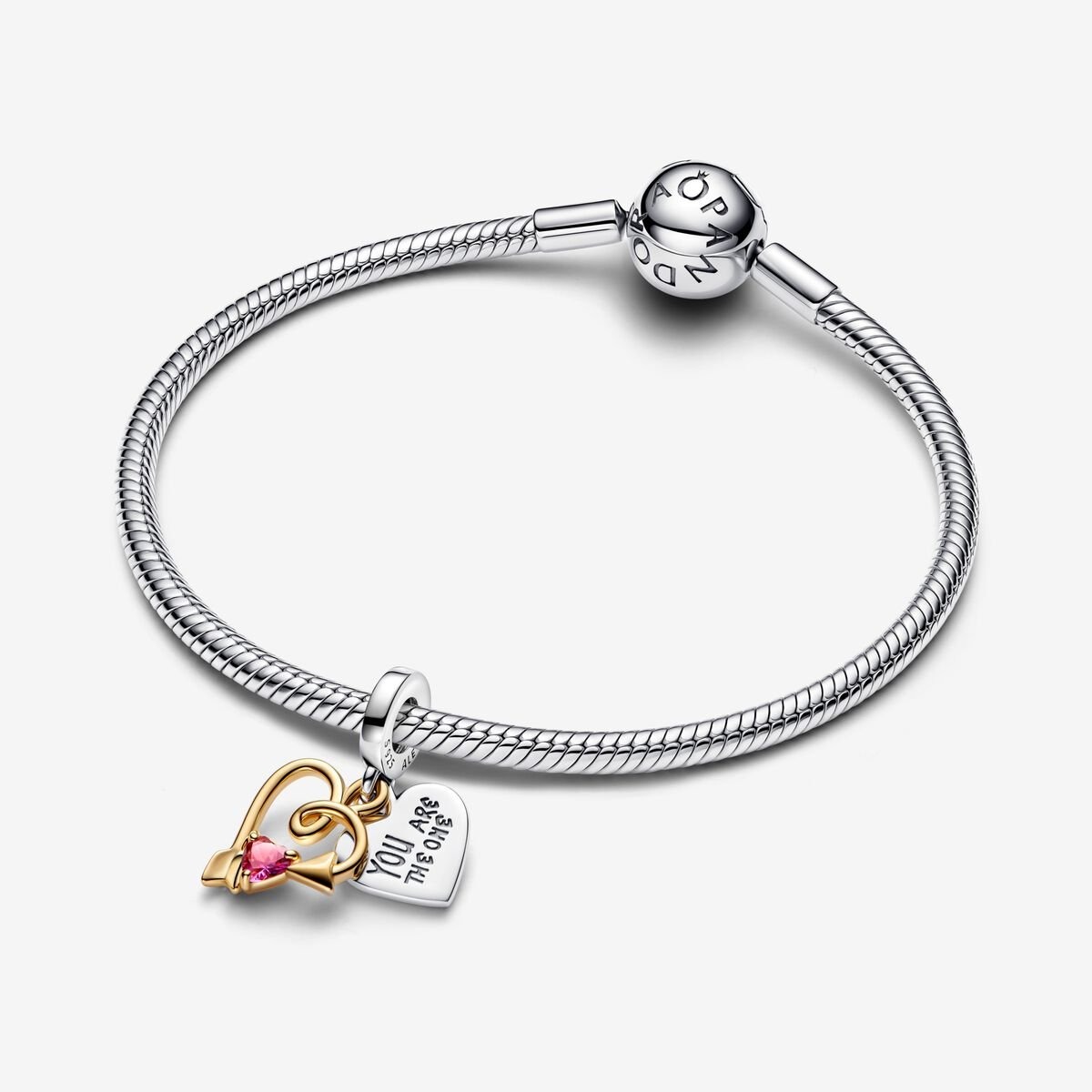 Pandora Moments Charm / 763622C01