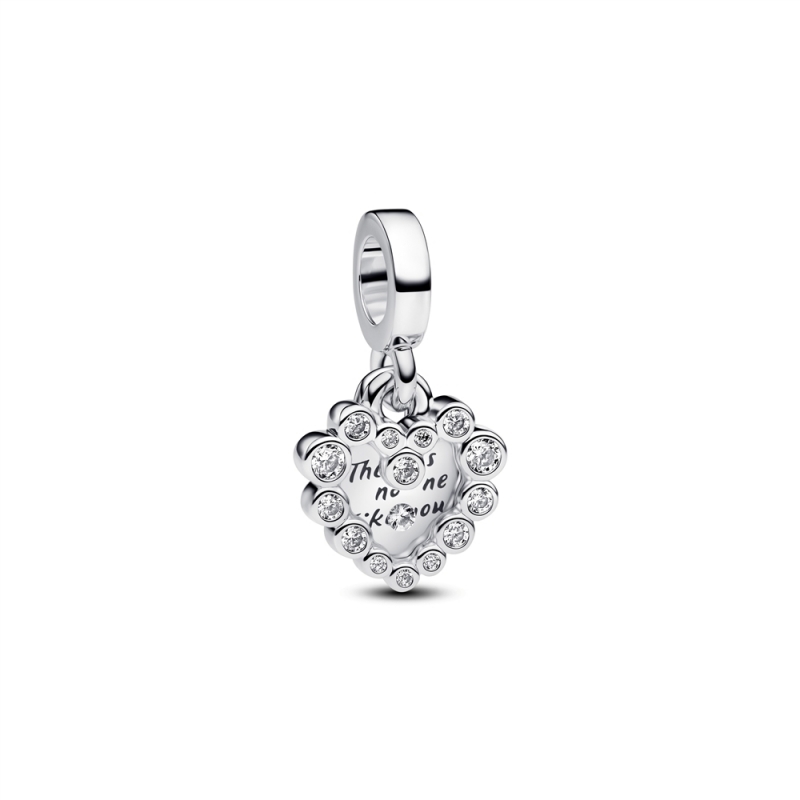 Pandora Moments Charm / 793765C01
