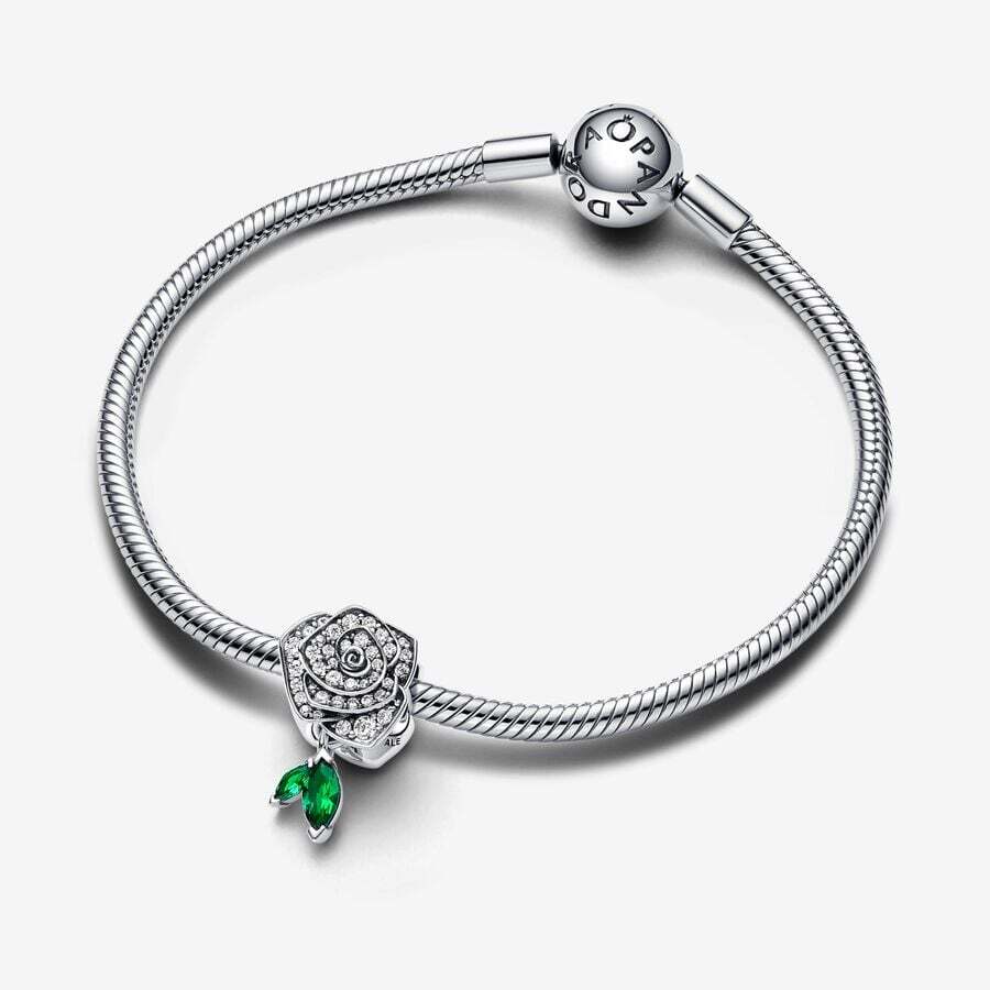 PANDORA Sterling Silver Charm/793201C01