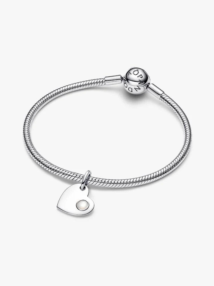 Pandora Moments Charm / 794295C06