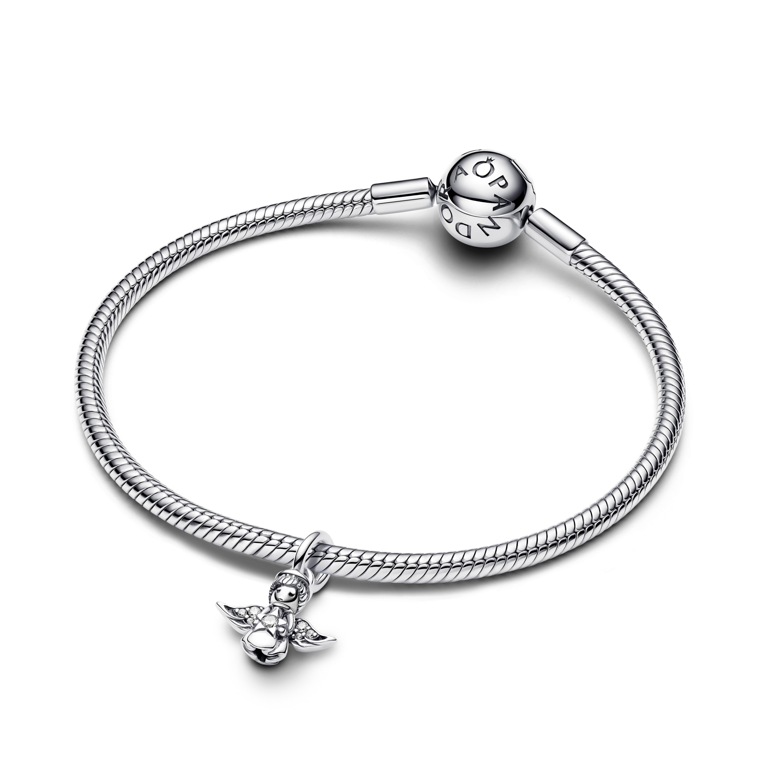 Pandora Moments Charm / 793598C01