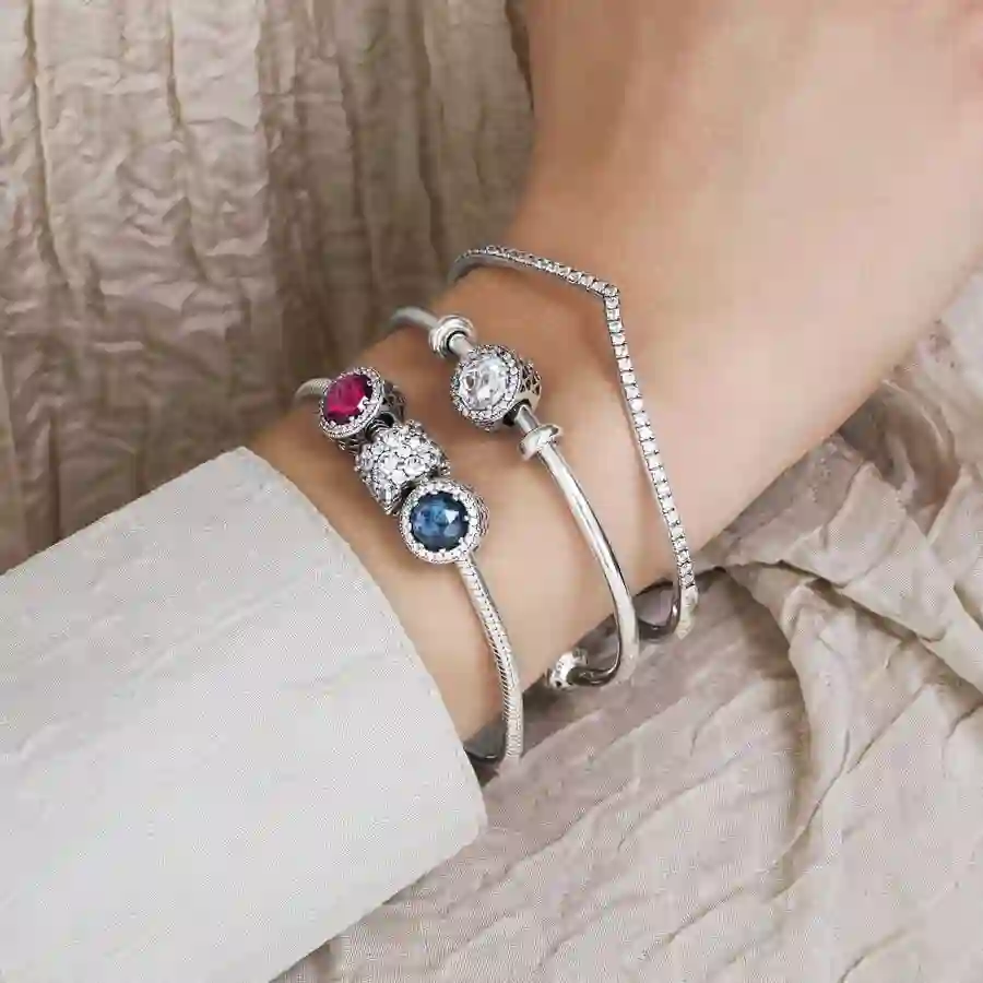 PANDORA Moments Charm / 798487C01