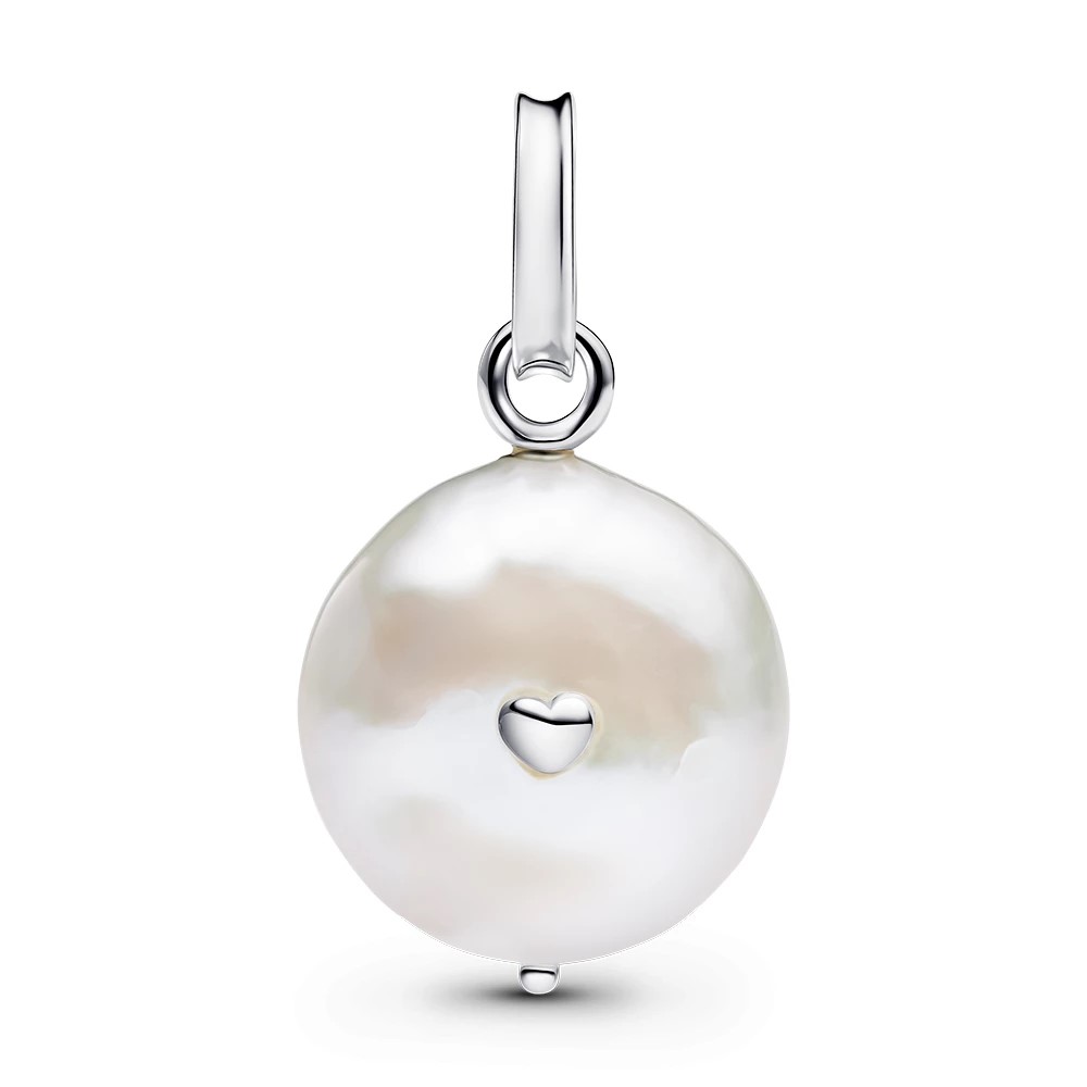 Pandora Moments Charm / 793783C01