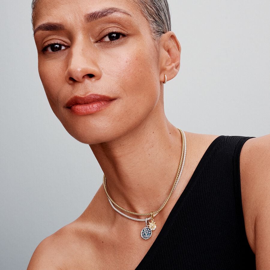 Pandora Moments Charm / 763588C01