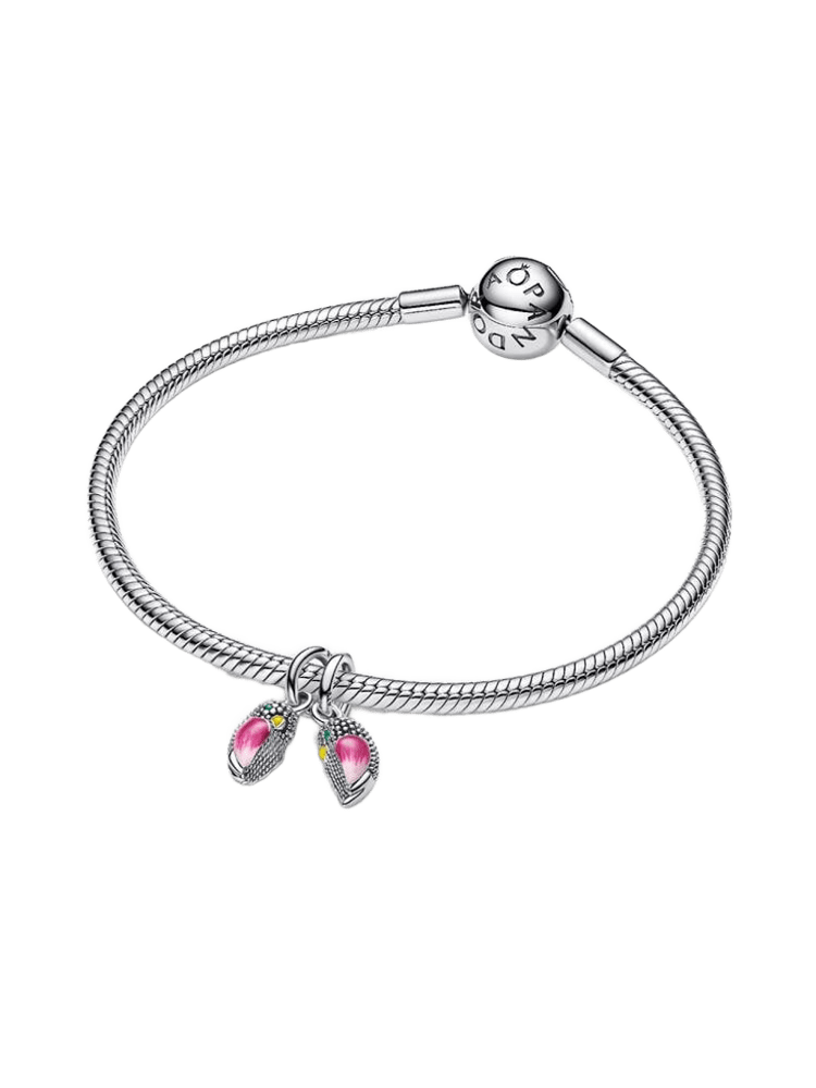 Pandora Moments Charm / 794484C01